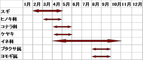 花粉の飛散時期