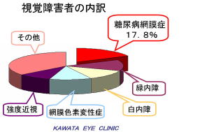 視覚障害者の内訳